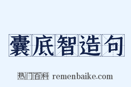 囊底智造句是什么意思的图片